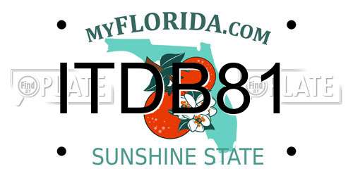 ITDB81 Florida License Plate