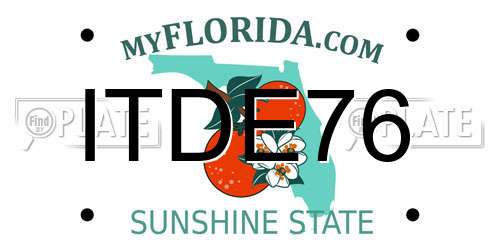 ITDE76 Florida License Plate