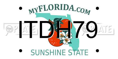 ITDH79 Florida License Plate