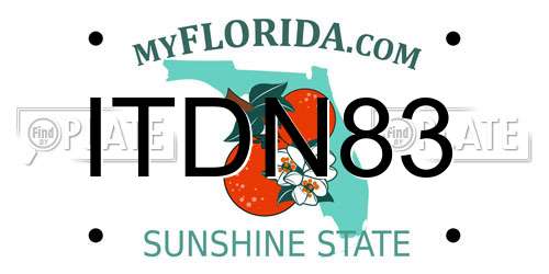 ITDN83 Florida License Plate