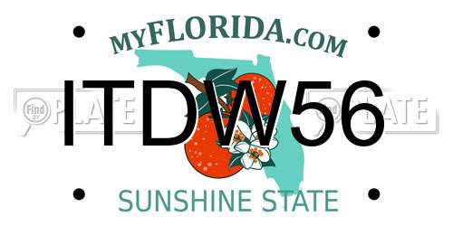 ITDW56 Florida License Plate