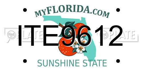 ITE9612 Florida License Plate
