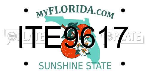 ITE9617 Florida License Plate