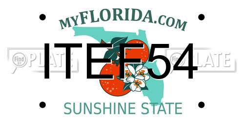 ITEF54 Florida License Plate