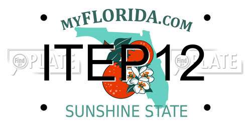 ITEP12 Florida License Plate