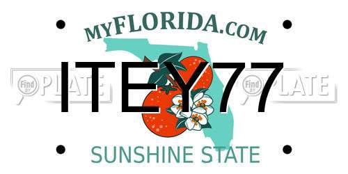 ITEY77 Florida License Plate