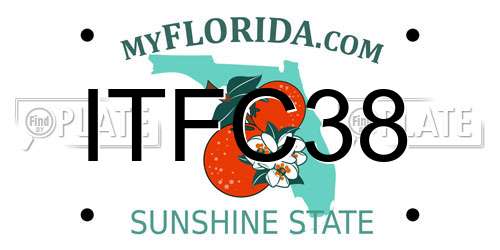 ITFC38 Florida License Plate