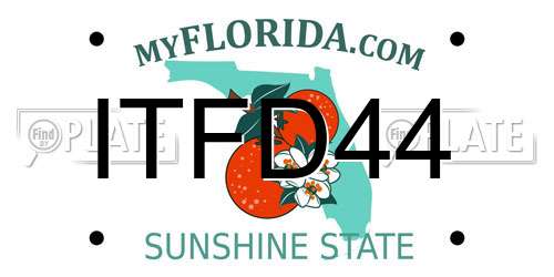 ITFD44 Florida License Plate
