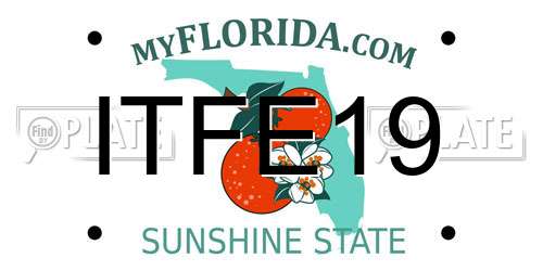 ITFE19 Florida License Plate