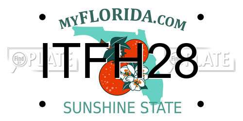 ITFH28 Florida License Plate