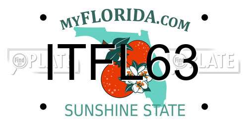 ITFL63 Florida License Plate
