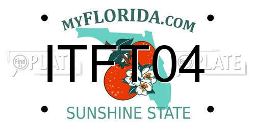 ITFT04 Florida License Plate