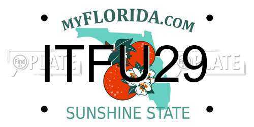 ITFU29 Florida License Plate