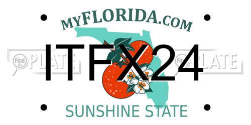 ITFX24 Florida License Plate