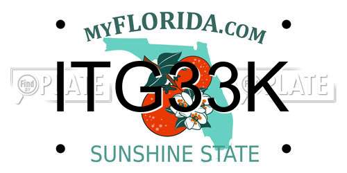 ITG33K Florida License Plate