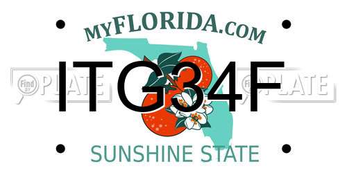 ITG34F Florida License Plate