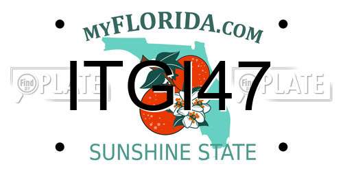 ITGI47 Florida License Plate