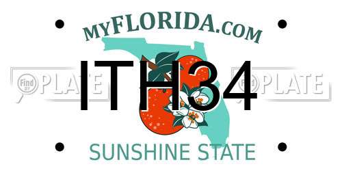ITH34 Florida License Plate
