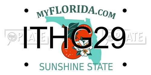 ITHG29 Florida License Plate
