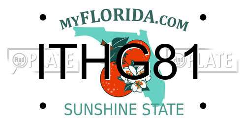 ITHG81 Florida License Plate
