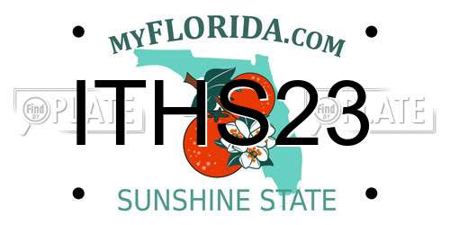 ITHS23 Florida License Plate