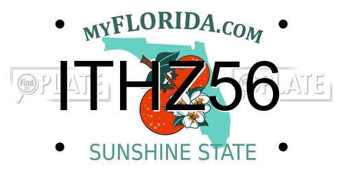 ITHZ56 Florida License Plate