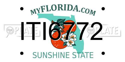 ITI6772 Florida License Plate