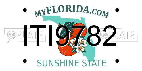 ITI9782 Florida License Plate