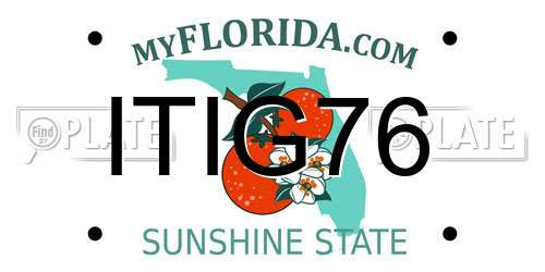 ITIG76 Florida License Plate