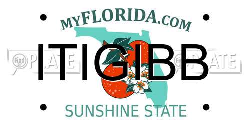ITIGIBB Florida License Plate