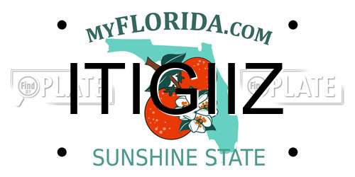 ITIGIIZ Florida License Plate