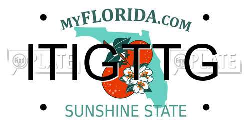 ITIGTTG Florida License Plate