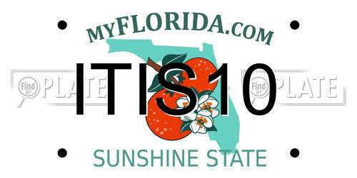 ITIS10 Florida License Plate