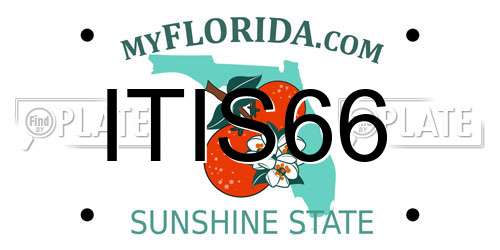 ITIS66 Florida License Plate