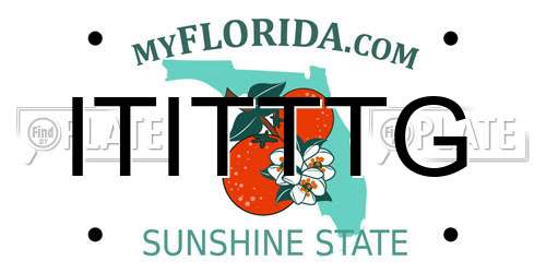 ITITTTG Florida License Plate