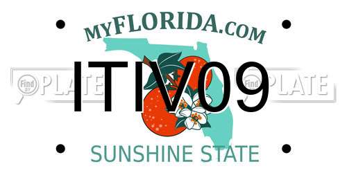 ITIV09 Florida License Plate