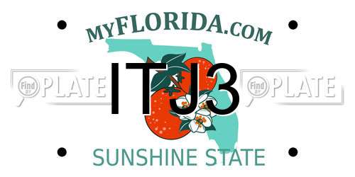 ITJ3 Florida License Plate