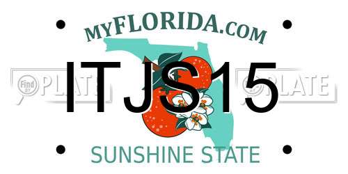 ITJS15 Florida License Plate
