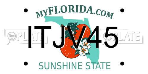 ITJV45 Florida License Plate