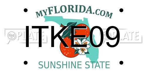 ITKE09 Florida License Plate