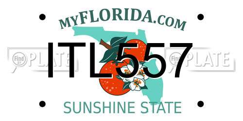 ITL557 Florida License Plate