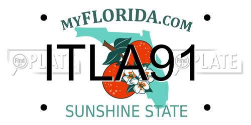 ITLA91 Florida License Plate