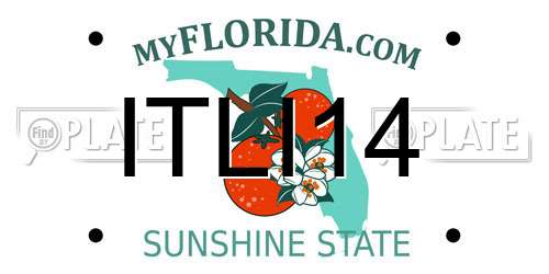 ITLI14 Florida License Plate