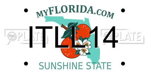 ITLL14 Florida License Plate