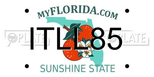 ITLL85 Florida License Plate