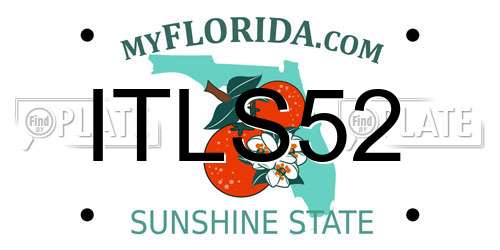 ITLS52 Florida License Plate