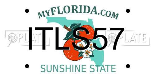 ITLS57 Florida License Plate