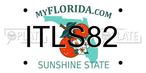 ITLS82 Florida License Plate