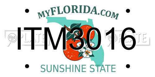 ITM3016 Florida License Plate