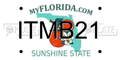 ITMB21 Florida License Plate